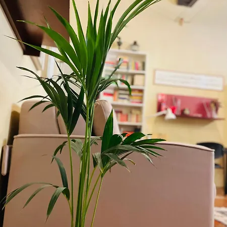 L'argonauta Apartment